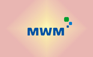 ✓ MWM 7720661 Двигатель в сборе 